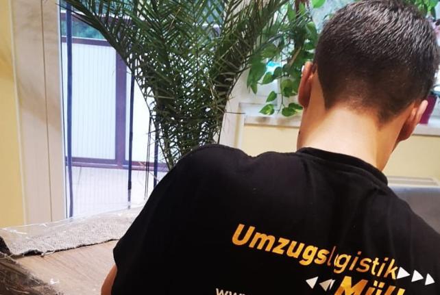 Preise für Ihren Studentenumzug in Grossharthau